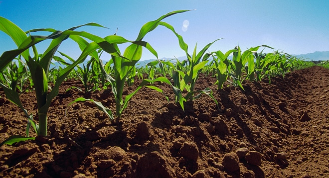 la-agricultura-de-conservacion-mitiga-el-cambio-climatico