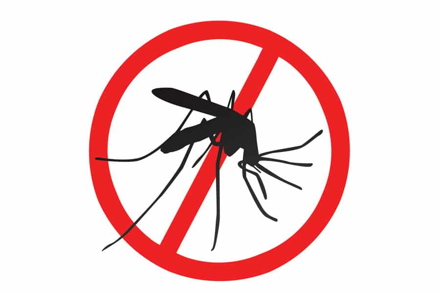 03609g-prevenir-dengue